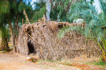 It's Wooden cabin in a Beautiful Oasis in Egypt.