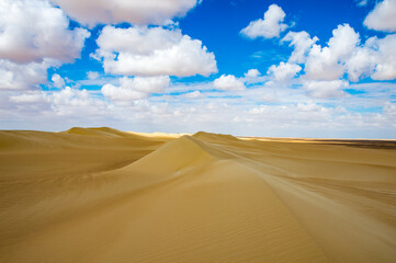 Fototapeta na wymiar It's Beautiful sand dunes in the Sahara Desert, Egypt