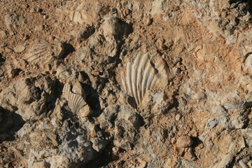 il passato nelle rocce