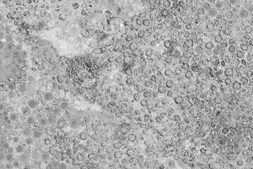 Concrete Slab Countertop Black / White Texture Close-Up Macro Background Structure - Wallpaper