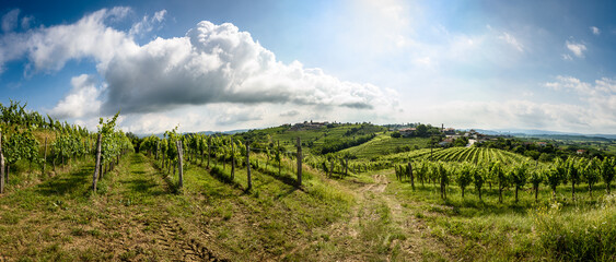 View of famous wine region Goriska Brda hills in Slovenia. - obrazy, fototapety, plakaty