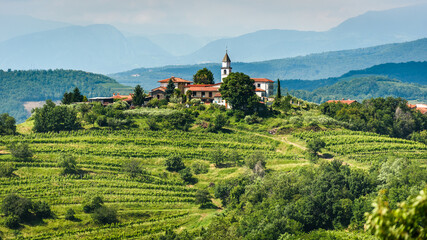 View of famous wine region Goriska Brda hills in Slovenia. - obrazy, fototapety, plakaty