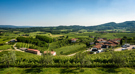 Naklejka premium View of famous wine region Goriska Brda hills in Slovenia.