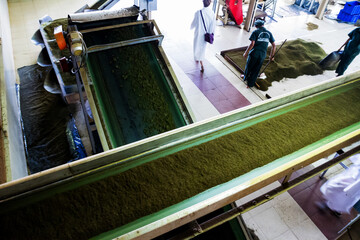 DAMBETHANNA, SRI LANKA-MARCH 23: Tea factory indoor around on March 23, 2013 in Dambethanna, Sri...