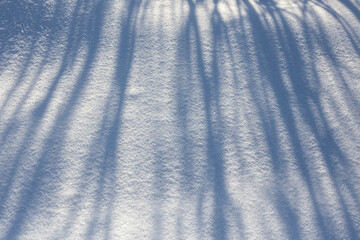 Natural Shadows On White Snowy Snow Surface. Winter Abstract View.