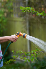 A woman watering the garden at summer time