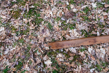 old wooden board with leaves