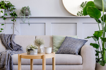  Interior design of scandinavian living room with stylish grey sofa, coffee table, tropical plant, mirror, decoration, pillows, plaid and elegant personal accessories in modern home decor.
