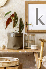 Beautiful composition at home interior with wooden bench, rattan decoration, furniture, plant in...