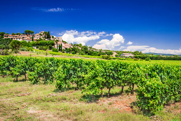 Fototapeta na wymiar Joucas hilltop village in Provence, France