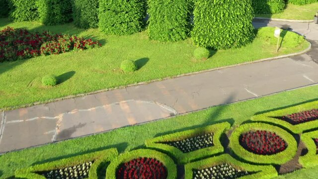 Push Forward Aerial shot of green leafy topiary Garden in the park. Topiary - element of design composition in the landscape design of the park. Landscape design of the summer park.