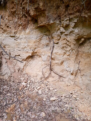 Structural earthen background with dents.