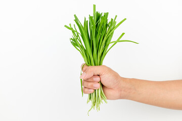 Thin leek on white background