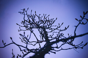 ast with pink light in the evening