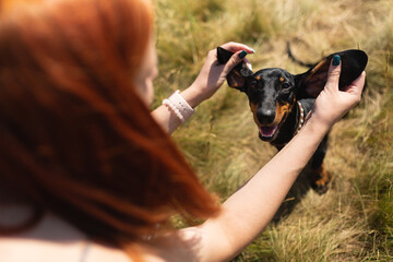 woman plays with a dog in nature. Funny picture with pets.