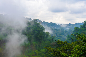 It's Water falls down out of the rock though the mist