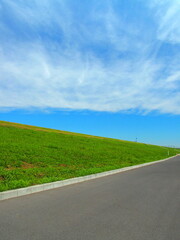 新しい道と初夏の江戸川土手風景
