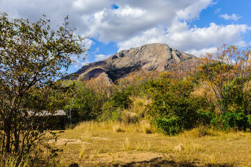 Naklejka premium It's Madagascar nature