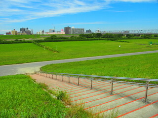石段のある江戸川土手から見る初夏の河川敷風景
