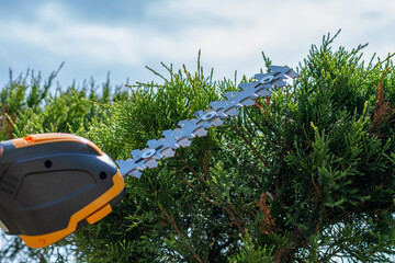 a compact cordless electric hedge trimmer with zero emissions, portable light tool for cutting...