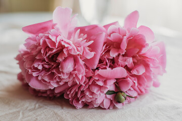 Obraz premium pink peonies on the table with a cup of tea