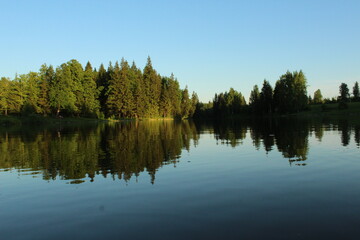 Fototapeta na wymiar Summer nature in the reflection of the lake