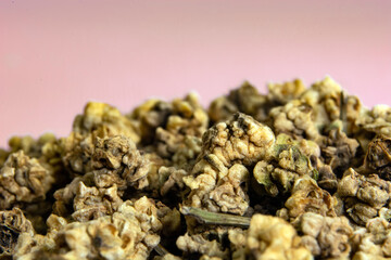 chard seeds ready for sowing on a pink background