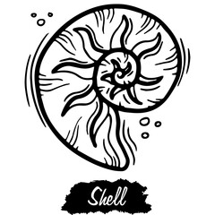 Sea sell isolated on white background. Vintage black vector