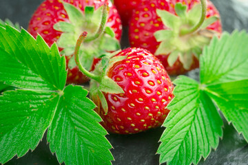 Strawberry ripe berry on an old background.