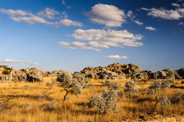 It's Rocks in Madagascar landscape