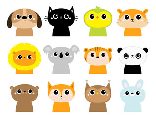 Obraz premium Dog Cat Parrot Hamster Lion Koala Tiger Panda Bear Fox Owl Rabbit animal portrait icon set. Cute cartoon kawaii funny baby character. Flat design. Kids print. White background. Isolated.