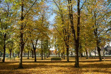 Naklejka premium Chair in a park. 