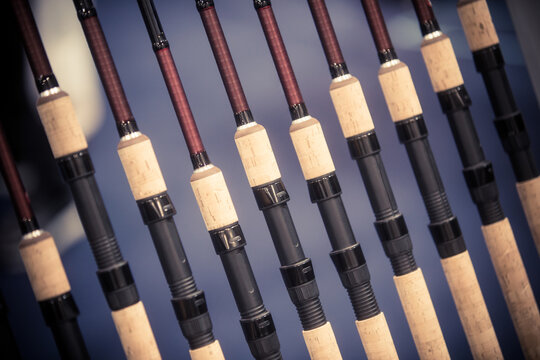 Many fishing rods