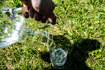 green grass in a garden