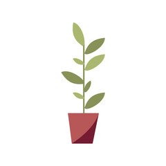 Houseplant semi flat RGB color vector illustration. Botanical stem in flower pot. Office plant in vase. Urban gardening. Interior decoration isolated cartoon object on white background