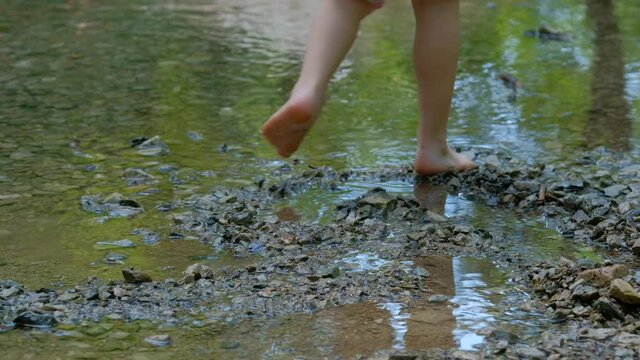 Close-up of low section of a 4 year old caucasian child girl carefully walking barefooted into the cold water of a natural creek with stones and gravel. Seen in Germany in June.