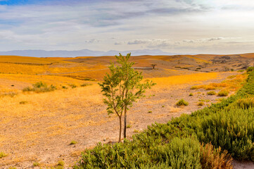 It's Desert Terre des Etoiles, Morocco