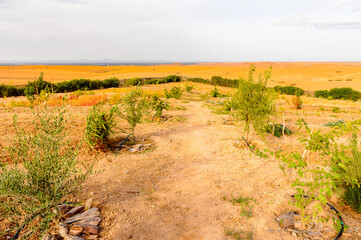 It's Desert Terre des Etoiles, Morocco