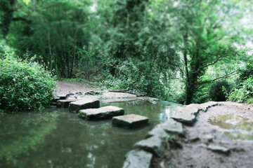 Stepping Stones above Waterfall