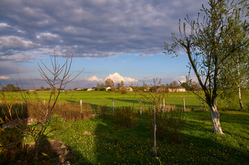 Polish countryside