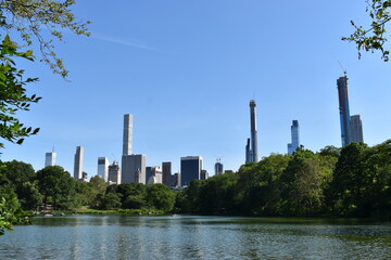 Fototapeta na wymiar New York From Central Park