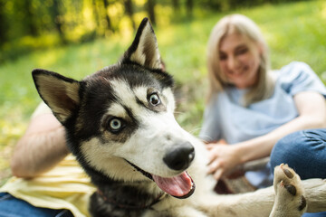 Young and beautiful couple relax in nature with a dog to the guitar