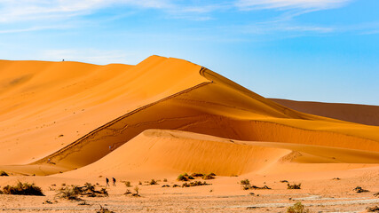 Fototapeta na wymiar It's Spectacular landscape of the Namibia desert, Sossuvlei, Africa.