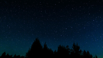 Obraz na płótnie Canvas Tops of pines on a background of stars in the sky