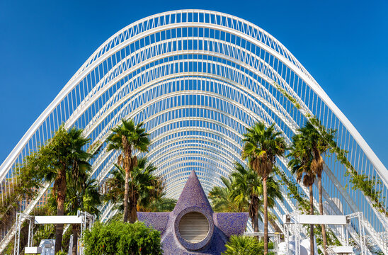 Plants in the Umbracle, a landscaped walk at he City of Arts and Sciences - Valencia, Spain