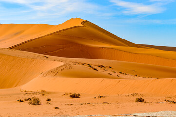 Fototapeta na wymiar It's Namibia desert, Sossuvlei, Africa.