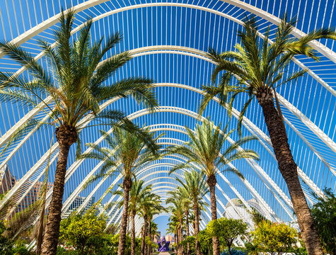 Plants in the Umbracle, a landscaped walk at he City of Arts and Sciences - Valencia, Spain