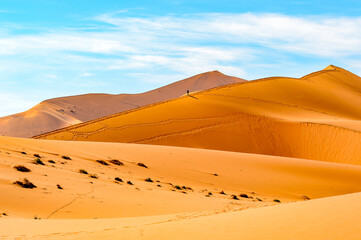 Fototapeta na wymiar It's Amazing view of the Namibia desert, Sossuvlei, Africa.