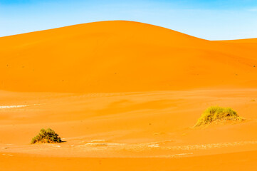 Fototapeta na wymiar It's Amazing view of the Namibia desert, Sossuvlei, Africa.