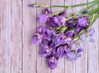 Bouquet collected in a bunch of purple iris flowers